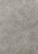 Greer Taupe 2 Pc Motion Sofa Set - Ornate Home