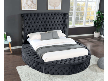 Hazel Black Tufted Velvet Queen Storage Bed - Ornate Home