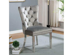 Jewett Velvet & Chrome Side Chair (Set of 2) - Ornate Home
