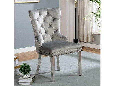 Jewett Velvet & Chrome Side Chair (Set of 2) - Ornate Home