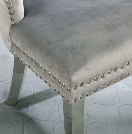 Jewett Velvet & Chrome Side Chair (Set of 2) - Ornate Home