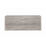 Kayla Grey Driftwood TV Console - Ornate Home