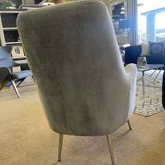 Linea Silver Velvet Accent Chair - Ornate Home