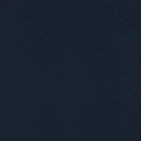 Littleton Blue Twin / Full Bunk Bed - Ornate Home