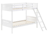 Littleton White Twin / Twin Bunk Bed - Ornate Home