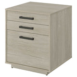 Loomis Whitewashed Grey File Cabinet - Ornate Home