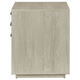 Loomis Whitewashed Grey File Cabinet - Ornate Home