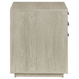Loomis Whitewashed Grey File Cabinet - Ornate Home