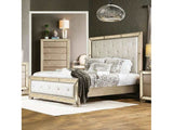 Loraine Champagne Queen Bed - Ornate Home