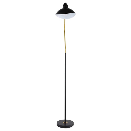 Lucien Black Floor Lamp - Ornate Home
