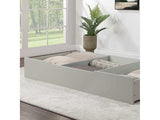 Lycorida Gray Trundle/Drawer - Ornate Home