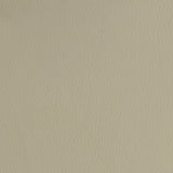 Pooja Chrome Bar Stool - Ornate Home