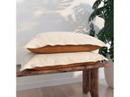 Ivory/Clay
