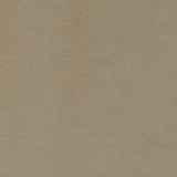 Rainn Latte Chair - Ornate Home