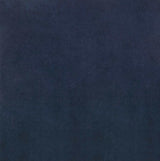 Ronan Ink Blue & Chrome Dining Chairs (Set Of 2) - Ornate Home