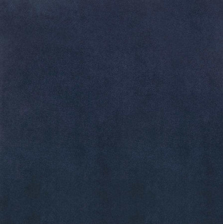 Ronan Ink Blue & Chrome Dining Chairs (Set Of 2) - Ornate Home