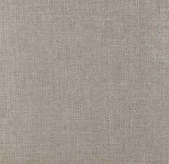 San antonio Grey Side Chair (Set of 2) - Ornate Home
