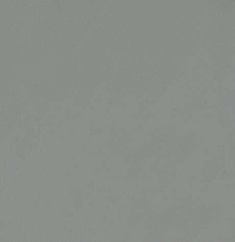 Sarina Grey & Chrome Counter Height Stools (Set Of 2) - Ornate Home