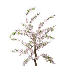 Small Pink Cherry Blossom / 5’ - Ornate Home