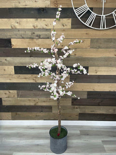 Small Pink Cherry Blossom / 5’ - Ornate Home