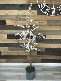 Small Pink Cherry Blossom / 5’ - Ornate Home