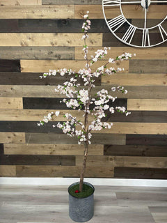 Small Pink Cherry Blossom / 5’ - Ornate Home