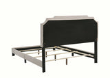 Tamarac Beige Queen Bed - Ornate Home