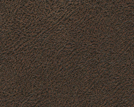 Tambo Faux Leather 2pc Manual Reclining Sectional - Ornate Home