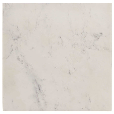 Tobin White / Black End Table - Ornate Home