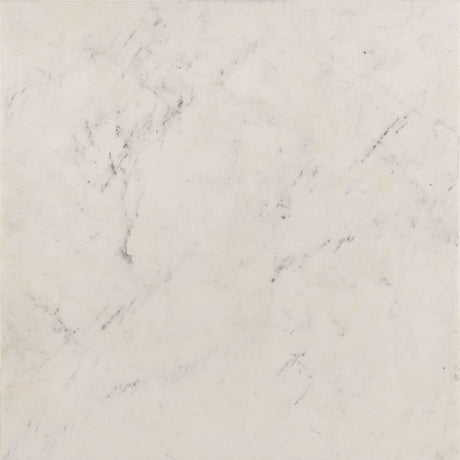 Tobin White / Black End Table - Ornate Home