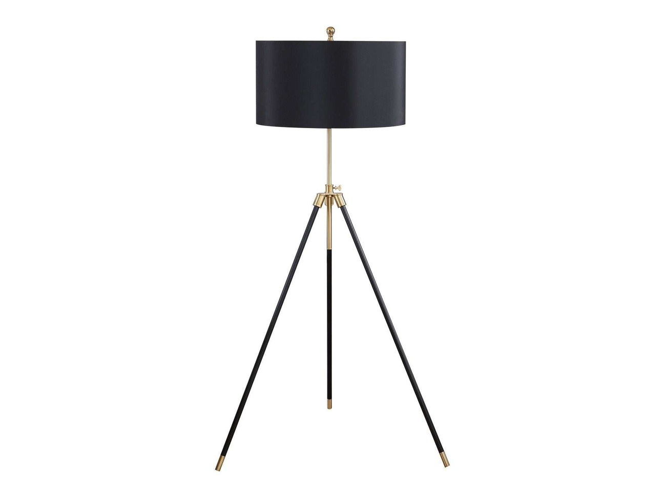 Walter Black & Gold Floor Lamp - Ornate Home