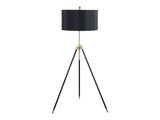 Walter Black & Gold Floor Lamp - Ornate Home