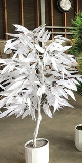 White Mango in White Hexagonal Metal / 5’ - Ornate Home