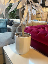 White Mango in White Hexagonal Metal / 5’ - Ornate Home