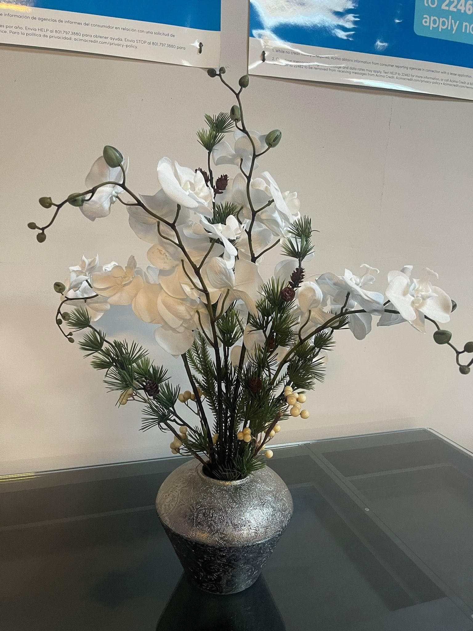 White Velvet Orchid in Etched Silver Ceramic - Ornate Home