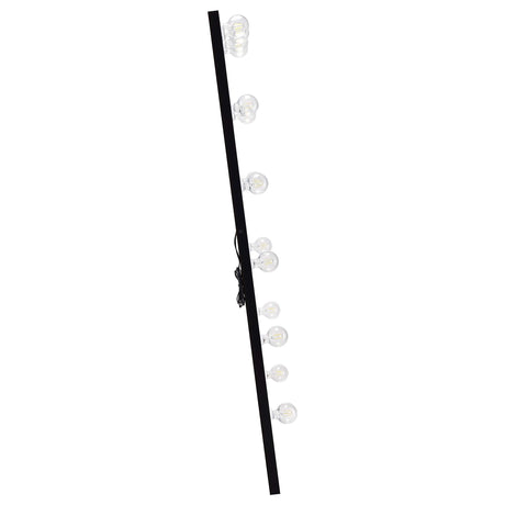 Zayan Black High Gloss Floor Mirror - Ornate Home