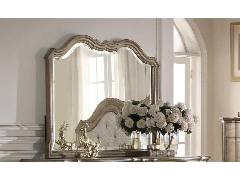 Acme Chelmsford Landscape Mirror in Antique Taupe 26054 - Ornate Home