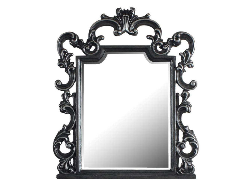 Acme Furniture House Delphine Mirror in Charcoal 28834 - Ornate Home