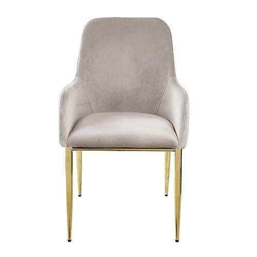 Barnard Gray Velvet & Gold Finish Side Chair (Set of 2) - Ornate Home