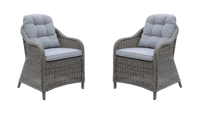 Canistota - Gray - Outdoor Dining Chair (Set of 2) - Ornate Home