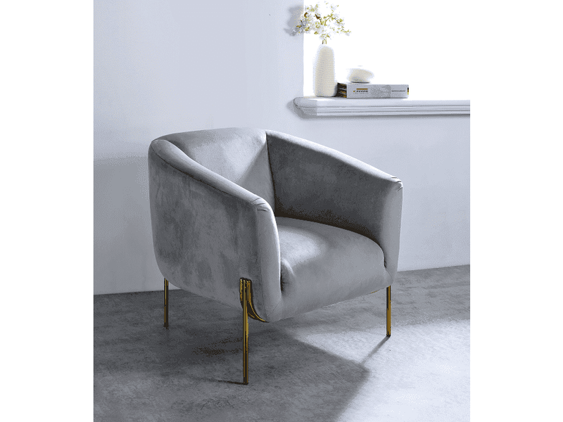 Carlson Gray Velvet & Gold Accent Chair - Ornate Home