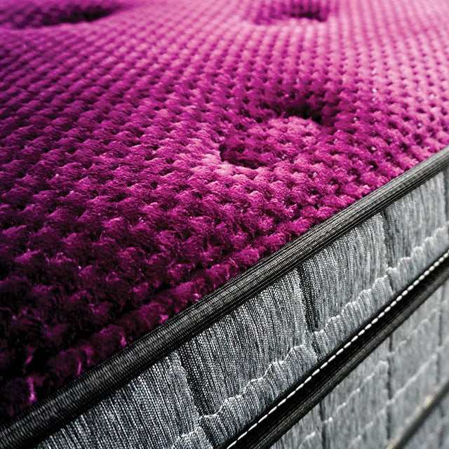 Minnetonka Purple 13" Euro Pillow Top Queen Mattress - Ornate Home