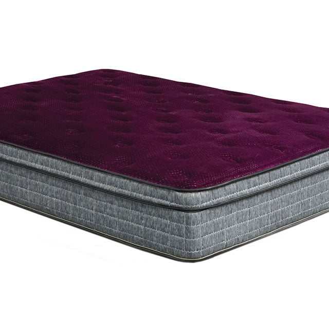 Minnetonka Purple 13" Euro Pillow Top Queen Mattress - Ornate Home