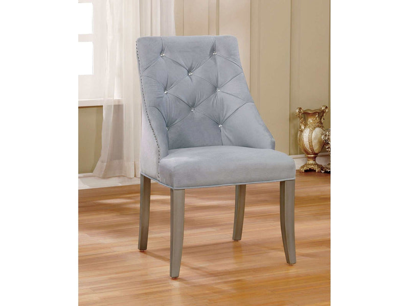 Diocles Silver & Gray Dining Chair (Set of 2)