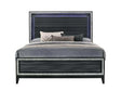 Haiden Queen Bed w/LED Light - Ornate Home