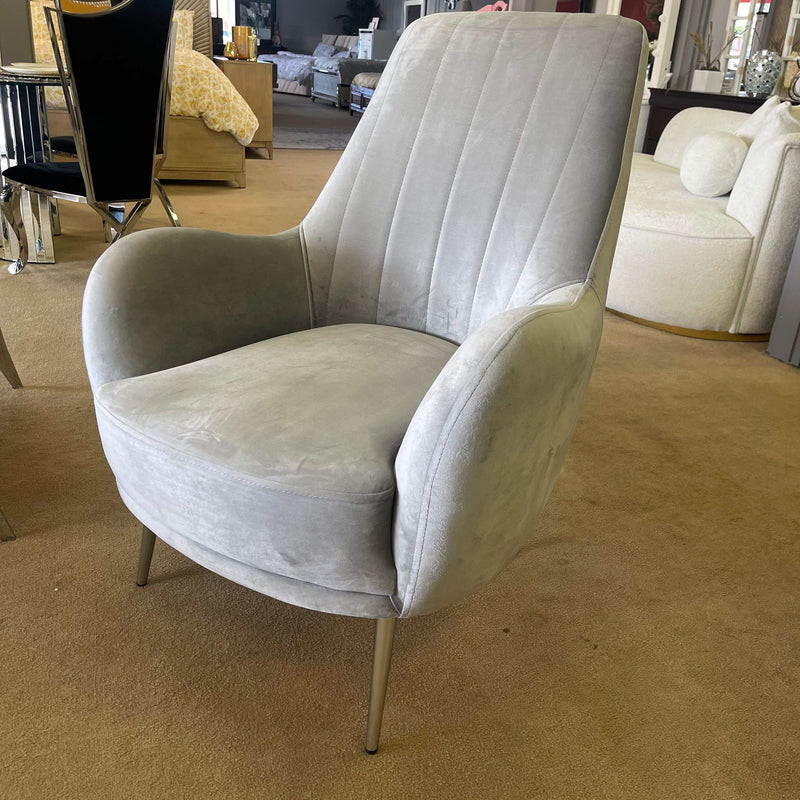 Linea Silver Velvet Accent Chair - Ornate Home